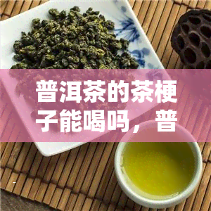 普洱茶的茶梗子能喝吗，普洱茶茶梗是否可以饮用？探讨其营养价值与口感