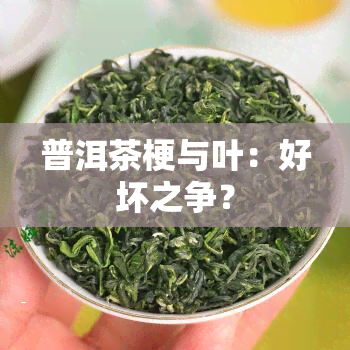 普洱茶梗与叶：好坏之争？