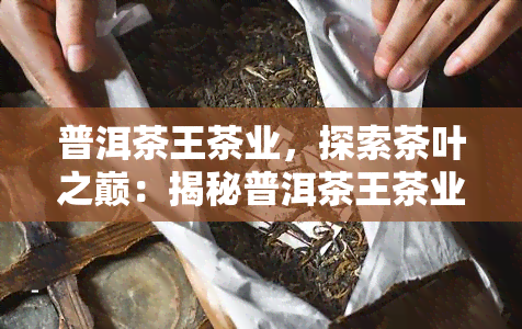 普洱茶王茶业，探索茶叶之巅：揭秘普洱茶王茶业的传奇故事