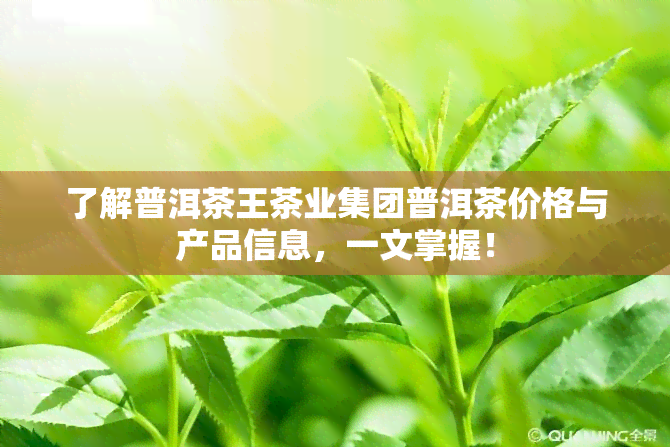 了解普洱茶王茶业集团普洱茶价格与产品信息，一文掌握！