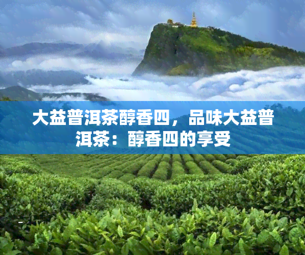 大益普洱茶醇香四，品味大益普洱茶：醇香四的享受