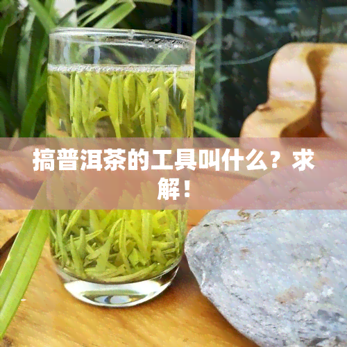 搞普洱茶的工具叫什么？求解！