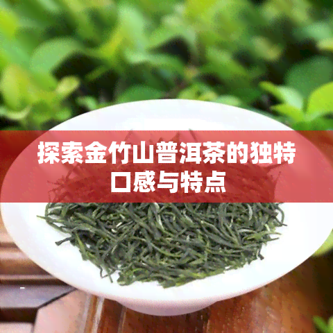 探索金竹山普洱茶的独特口感与特点