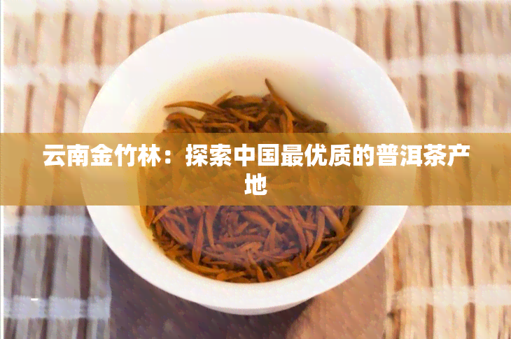 云南金竹林：探索中国更优质的普洱茶产地