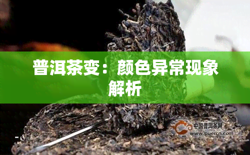 普洱茶变：颜色异常现象解析