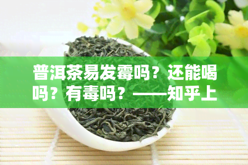 普洱茶易发霉吗？还能喝吗？有吗？——知乎上的讨论