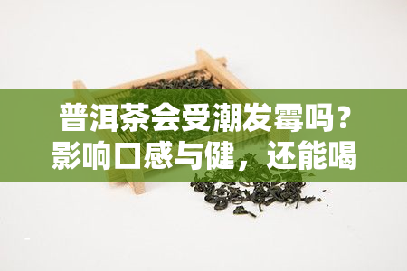 普洱茶会受潮发霉吗？影响口感与健，还能喝吗？