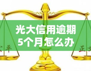 光大信用逾期5个月怎么办？解决办法全攻略！