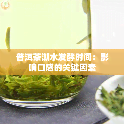 普洱茶潮水发酵时间：影响口感的关键因素