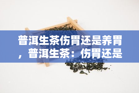 普洱生茶伤胃还是养胃，普洱生茶：伤胃还是养胃？你需要知道的一切