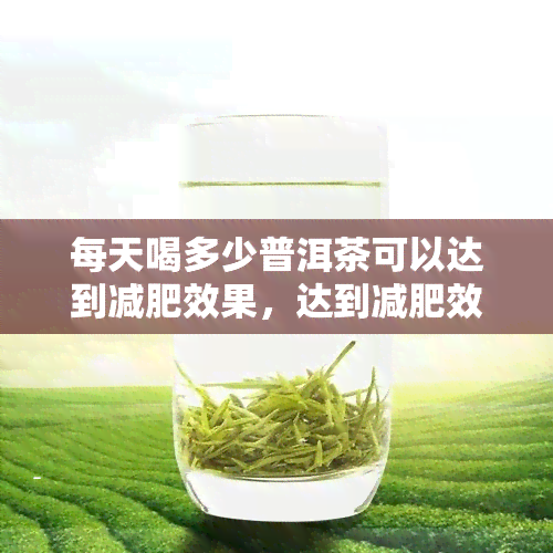 每天喝多少普洱茶可以达到减肥效果，达到减肥效果，每天应该喝多少普洱茶？