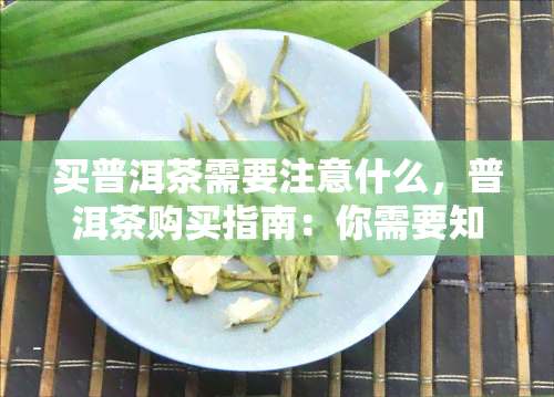 买普洱茶需要注意什么，普洱茶购买指南：你需要知道的注意事