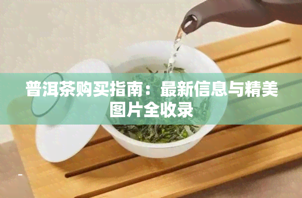 普洱茶购买指南：最新信息与精美图片全收录