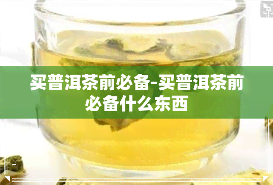 买普洱茶前必备-买普洱茶前必备什么东西