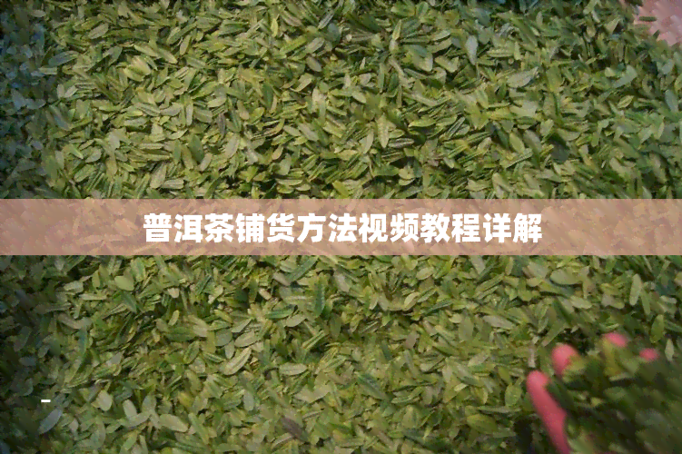 普洱茶铺货方法视频教程详解