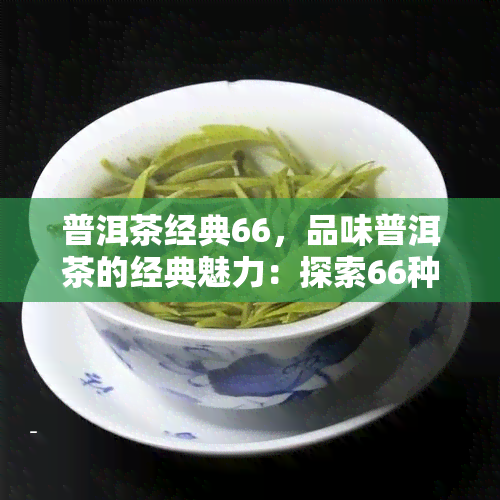 普洱茶经典66，品味普洱茶的经典魅力：探索66种独特的口感体验