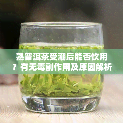 熟普洱茶受潮后能否饮用？有无副作用及原因解析