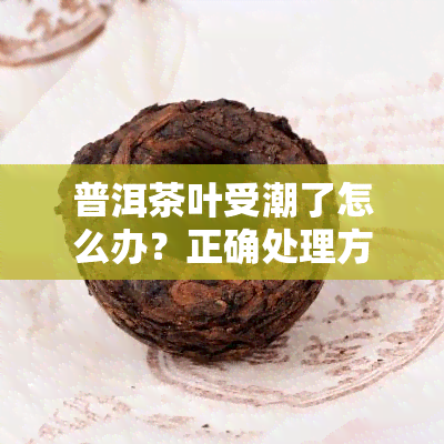 普洱茶叶受潮了怎么办？正确处理方法大揭秘！