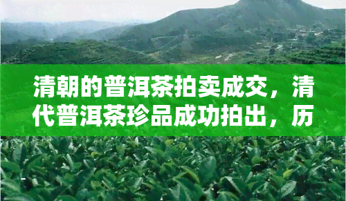 清朝的普洱茶拍卖成交，清代普洱茶珍品成功拍出，历价值再次得到认可