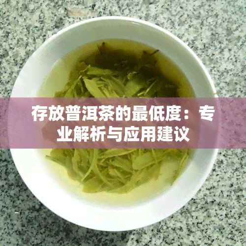 存放普洱茶的更低度：专业解析与应用建议