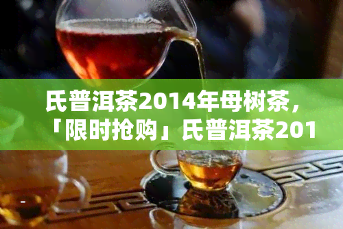 氏普洱茶2014年母树茶，「限时抢购」氏普洱茶2014年母树茶，原产地直供，口感醇厚，韵味悠长！