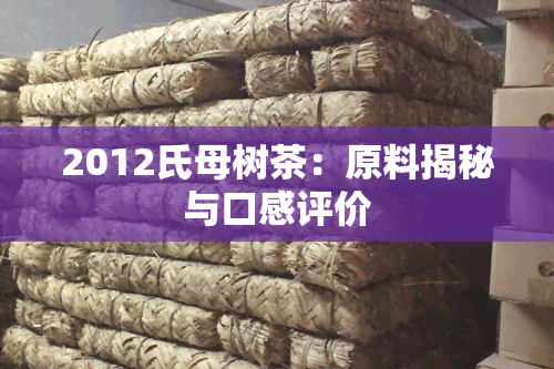 2012氏母树茶：原料揭秘与口感评价