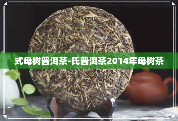 式母树普洱茶-氏普洱茶2014年母树茶