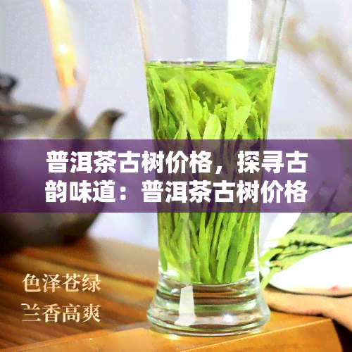 普洱茶古树价格，探寻古韵味道：普洱茶古树价格解析