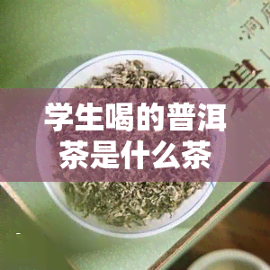 学生喝的普洱茶是什么茶，探究学生喜欢的普洱茶：它到底是什么茶？