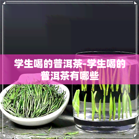 学生喝的普洱茶-学生喝的普洱茶有哪些