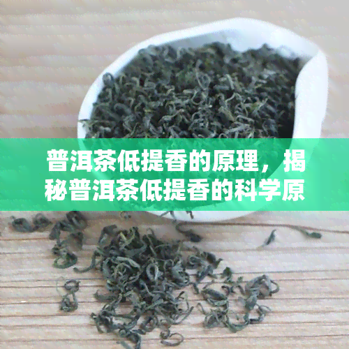 普洱茶低提香的原理，揭秘普洱茶低提香的科学原理