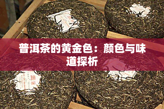 普洱茶的黄金色：颜色与味道探析