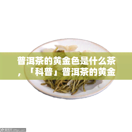 普洱茶的黄金色是什么茶，「科普」普洱茶的黄金色到底是什么茶？