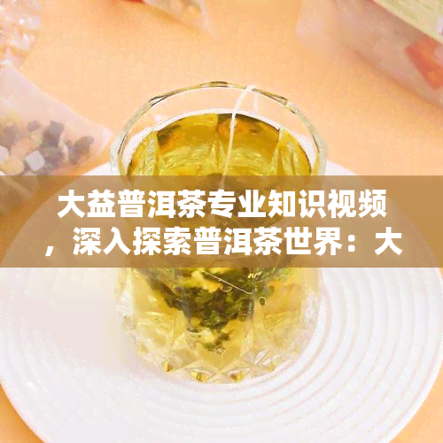 大益普洱茶专业知识视频，深入探索普洱茶世界：大益普洱茶的专业知识视频解析