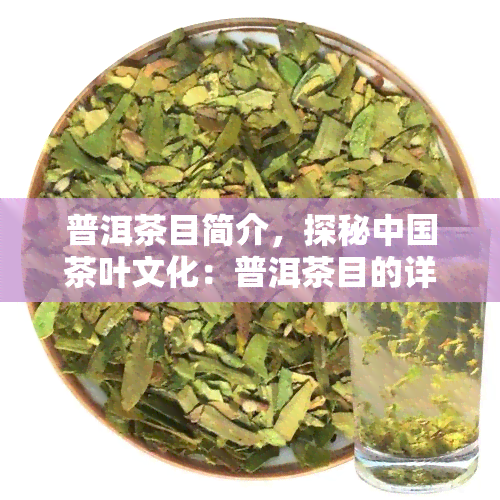 普洱茶目简介，探秘中国茶叶文化：普洱茶目的详细介绍