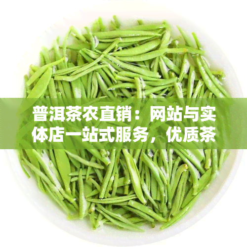 普洱茶农直销：网站与实体店一站式服务，优质茶叶源头直供