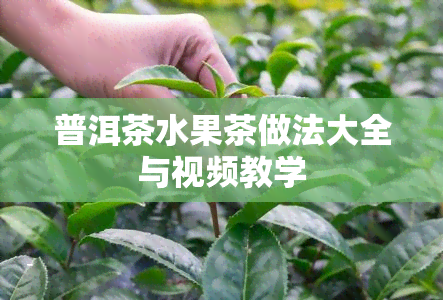 普洱茶水果茶做法大全与视频教学