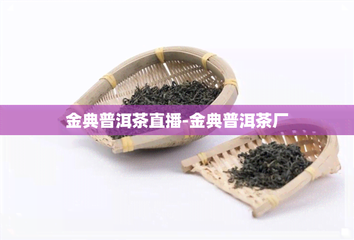 金典普洱茶直播-金典普洱茶厂