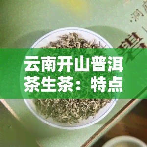 云南开山普洱茶生茶：特点与价格全解析