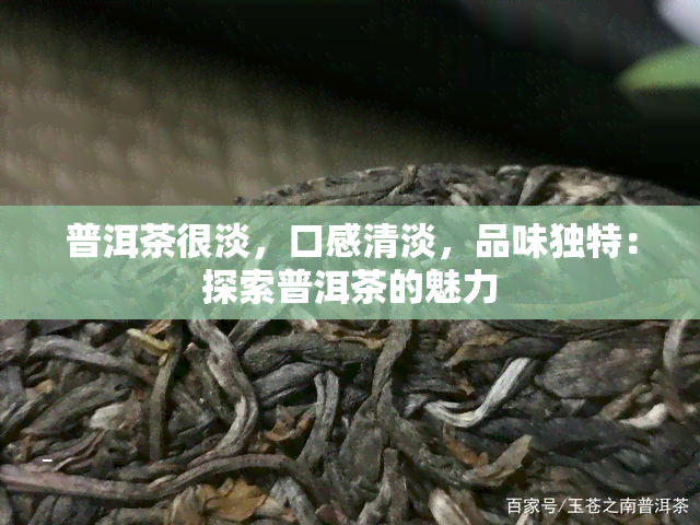 普洱茶很淡，口感清淡，品味独特：探索普洱茶的魅力