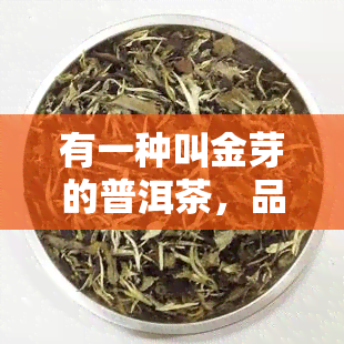 有一种叫金芽的普洱茶，品味珍稀：探索金芽普洱茶的魅力