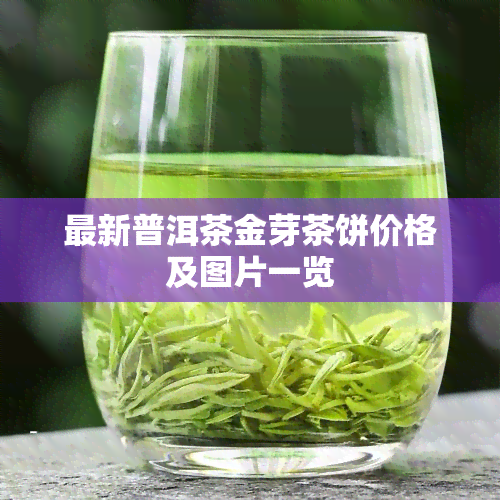 最新普洱茶金芽茶饼价格及图片一览