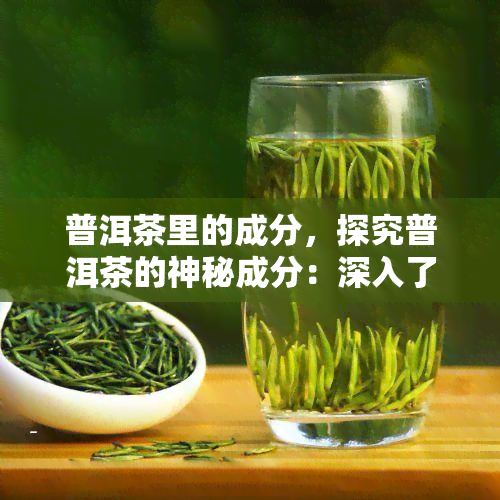 普洱茶里的成分，探究普洱茶的神秘成分：深入了解这种独特的饮品