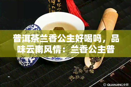 普洱茶兰香公主好喝吗，品味云南风情：兰香公主普洱茶，口感如何？