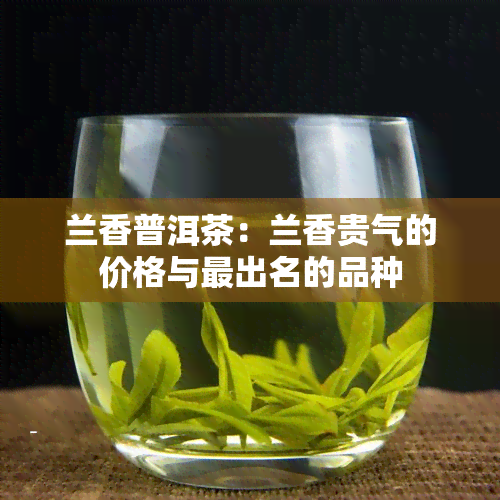 兰香普洱茶：兰香贵气的价格与最出名的品种