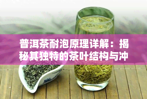 普洱茶耐泡原理详解：揭秘其独特的茶叶结构与冲泡技巧