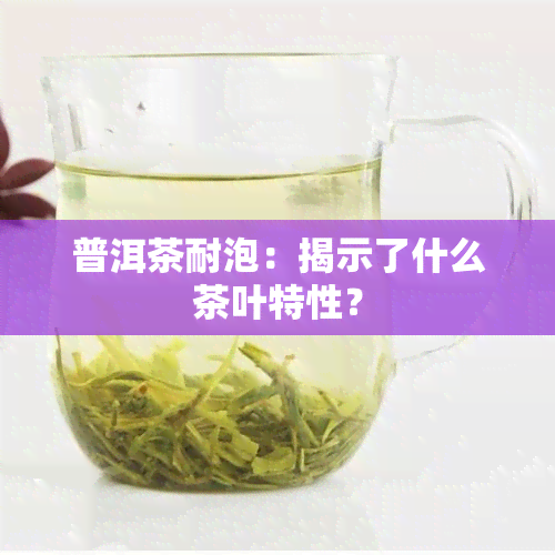 普洱茶耐泡：揭示了什么茶叶特性？