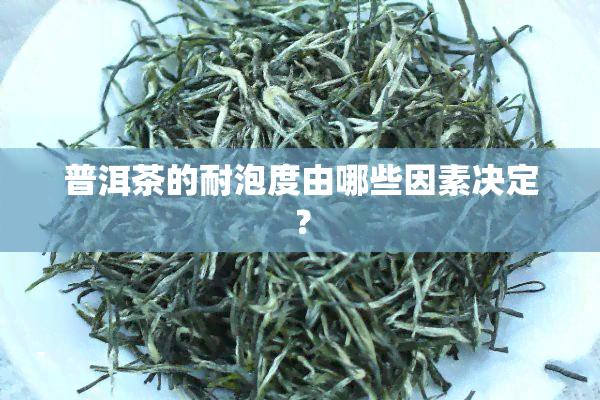 普洱茶的耐泡度由哪些因素决定？