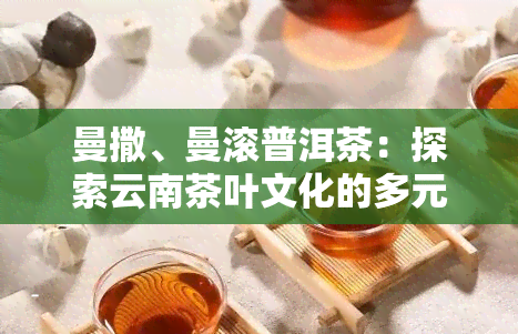 曼撒、曼滚普洱茶：探索云南茶叶文化的多元面貌