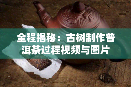 全程揭秘：古树制作普洱茶过程视频与图片